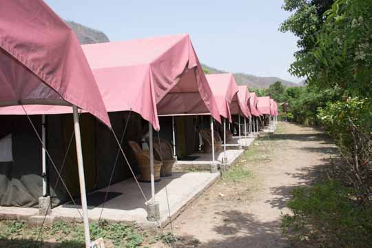 Camp majestic rishikesh
